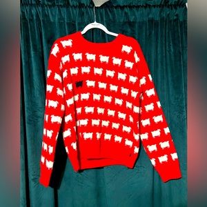 Warm and wonderful red Princess Diana black sheep sweater